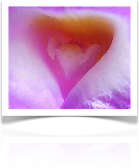 Austin Landscaping Design