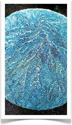 Austin Landscaping Designers